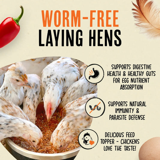 Roosty's Flock Armor Daily De-Worm & Gut Health 1lb Bag