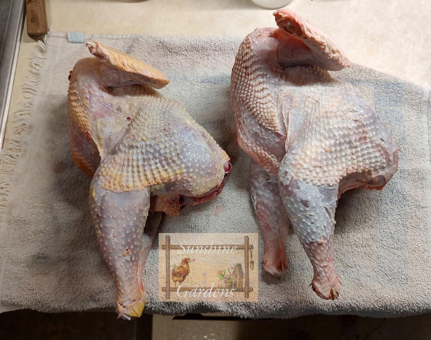 BBQ Special - Cockerels (males)