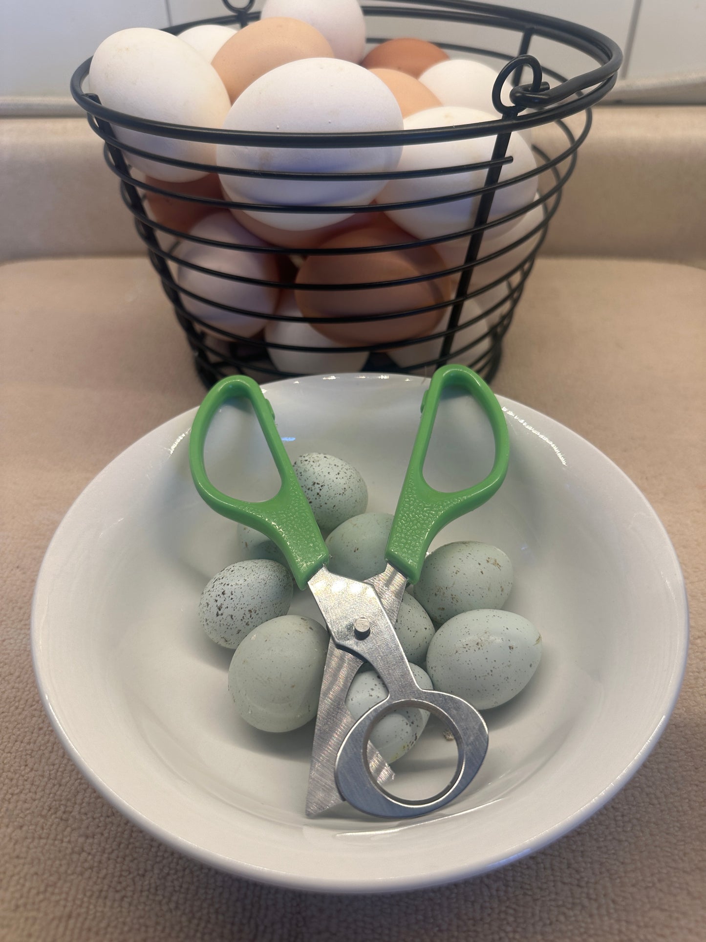 Quail Egg Scissors