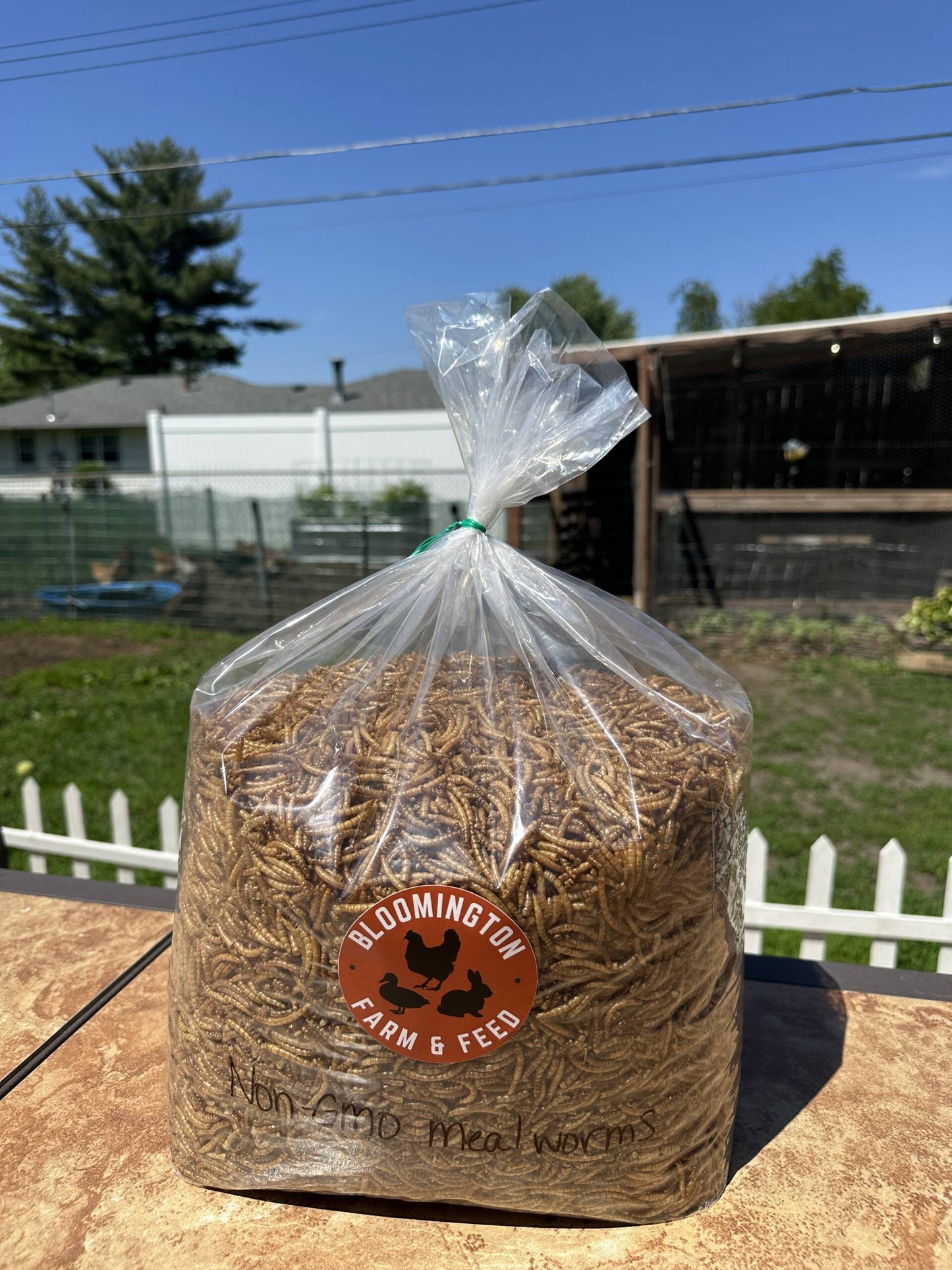 Non-GMO Dried Mealworms