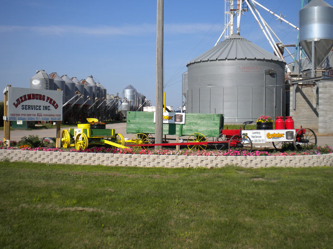Luxemburg’s Feed Service non-GMO feed bags — Minnesota-milled poultry feed for health-conscious flock keepers