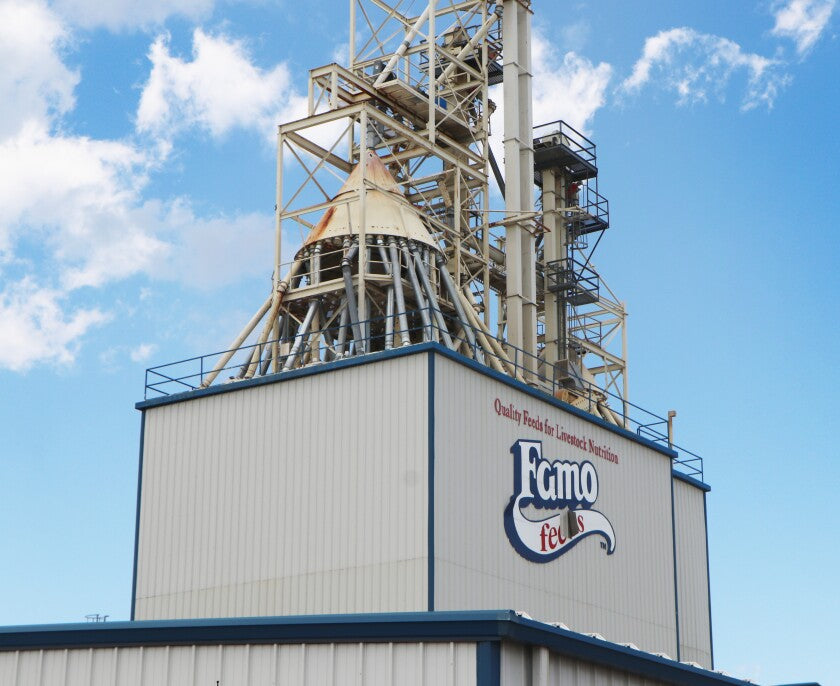 Meet Famo Feeds: Over 120 Years of Family-Owned Feed Excellence