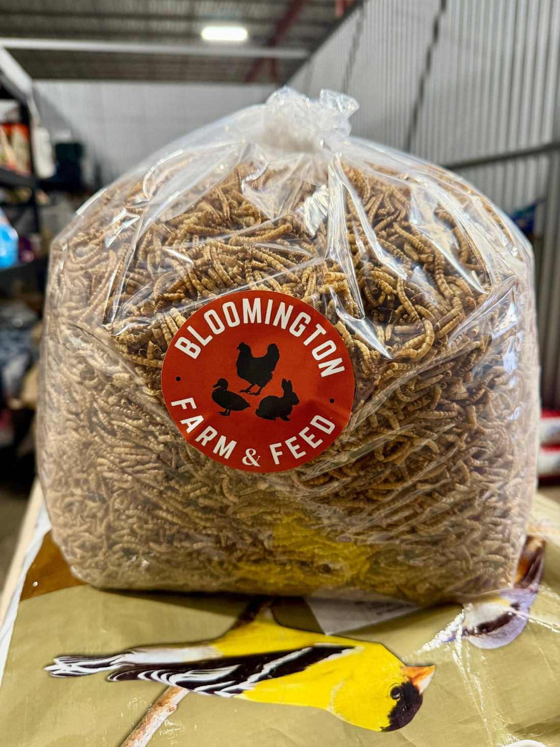 Questions We Get Asked Every Week at Bloomington Farm & Feed
