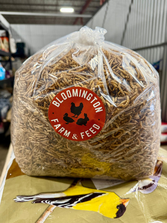 Questions We Get Asked Every Week at Bloomington Farm & Feed