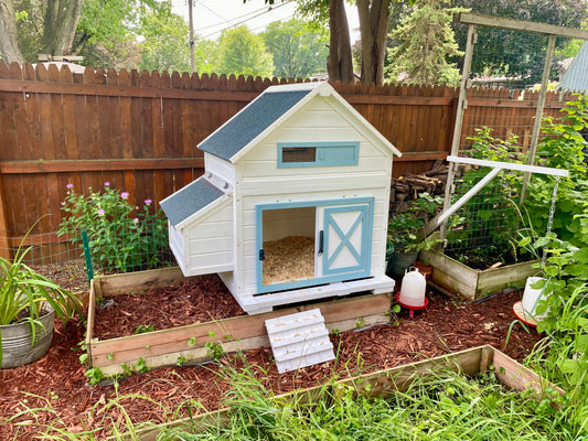 How We Help First-Time Flock Owners Get Started