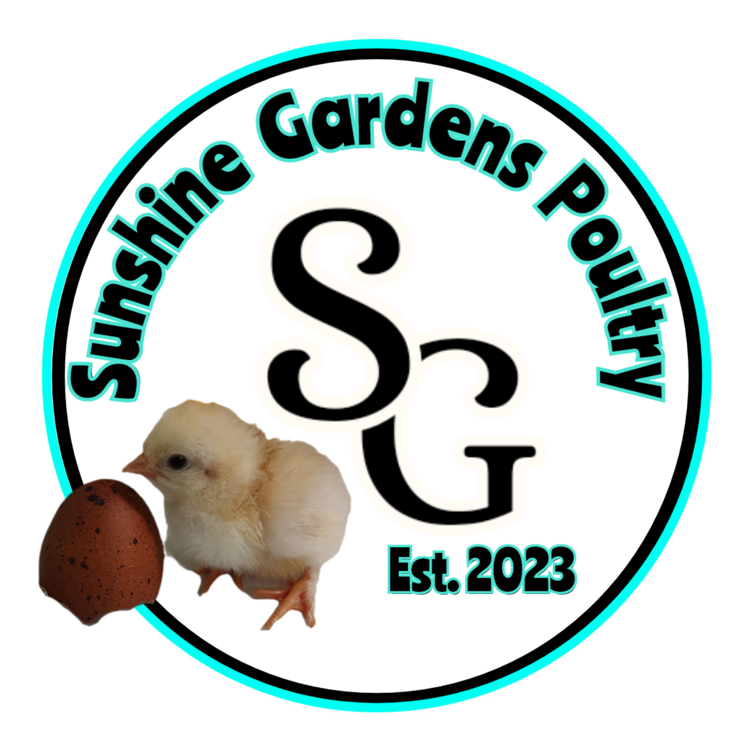 Sunshine Gardens Poultry Chicks