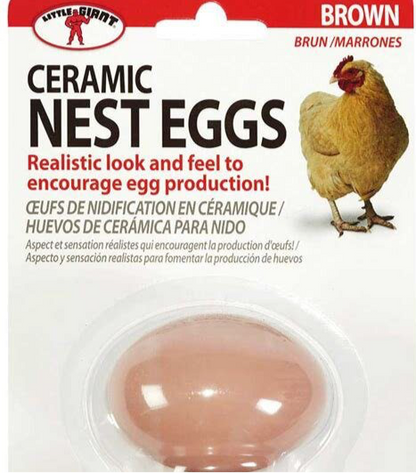 HAPPY HEN - Poultry Ceramic Nest Eggs