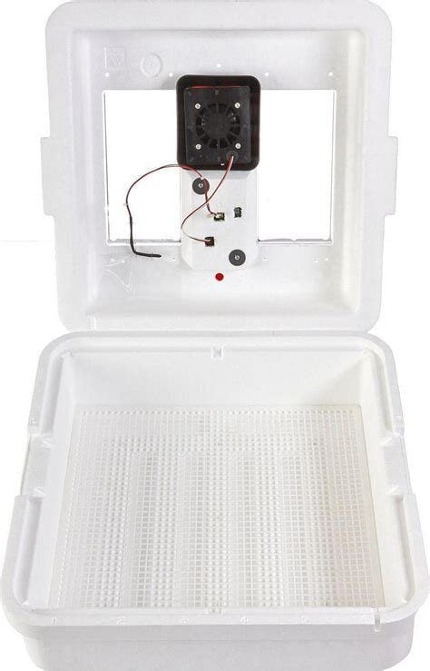 Little Giant 41-Egg Capacity Still-Air Egg Incubator image 2