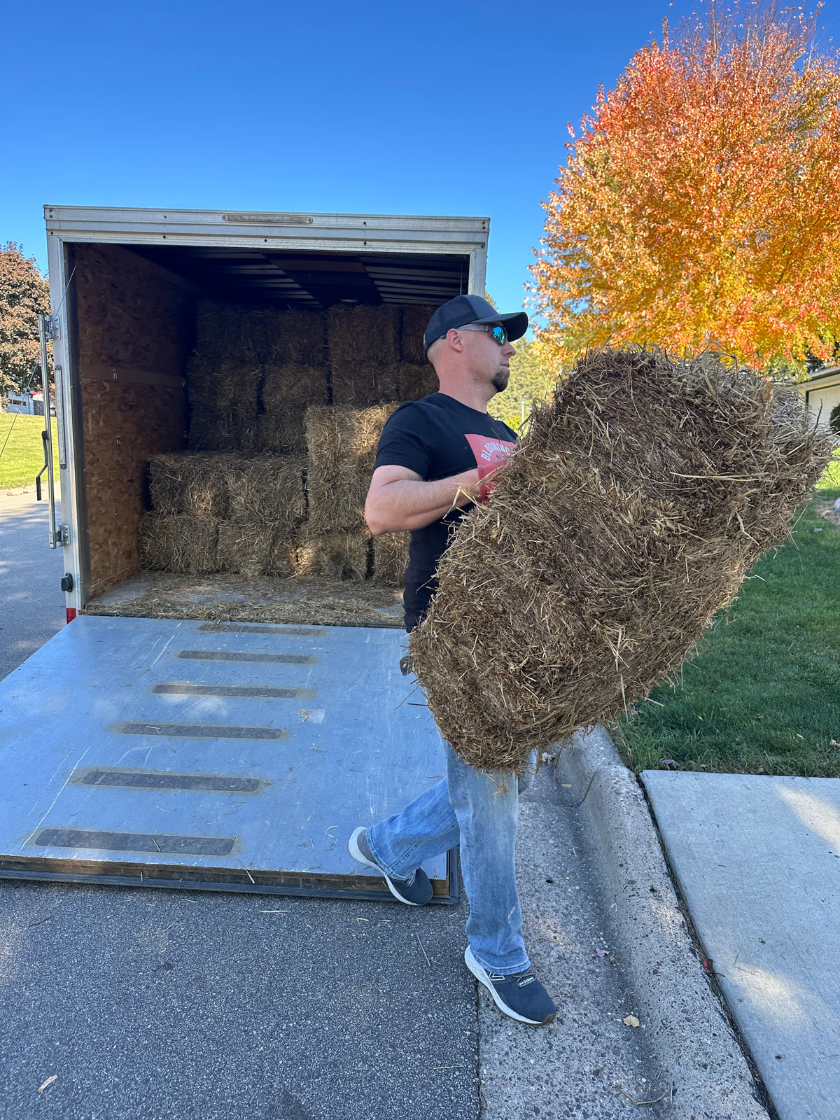 Straw Bales, Organic 40lbs - LIMITED OFFER