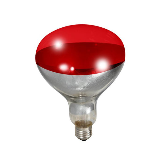 Little Giant Red Bulb for Brooder Lamp (250 Watt) image 0