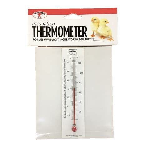 Little Giant - Incubator Thermometer image 0