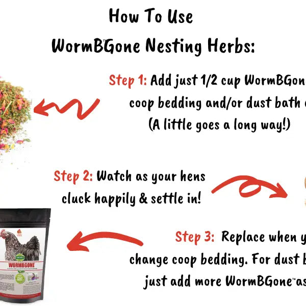 Wormbgone - Nesting Herbs For Pet Chickens image 2