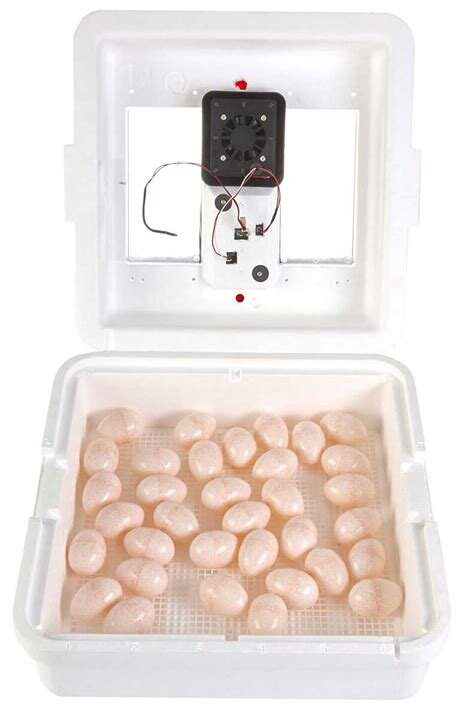 Little Giant 41-Egg Capacity Still-Air Egg Incubator image 1