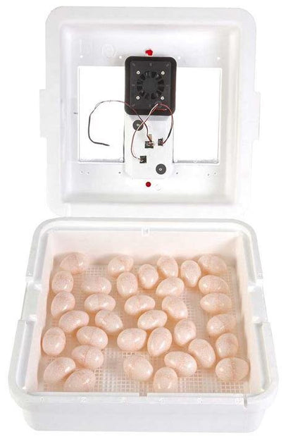 Little Giant 41-Egg Capacity Still-Air Egg Incubator image 1