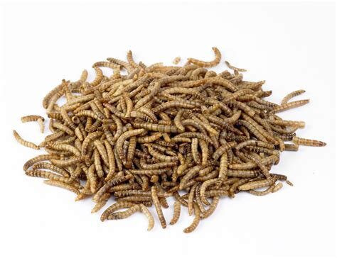 Non-GMO Dried Mealworms, 21oz. image 0