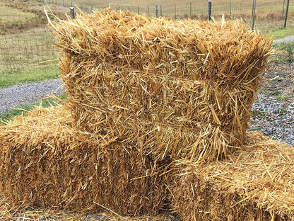 Straw Bales, Organic 40lbs - LIMITED OFFER