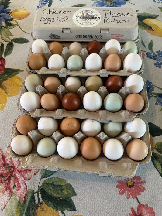 Chicken Eggs, 1 dozen - Farm To Table, Pasture Raised