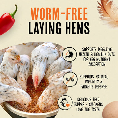 Roosty's Flock Armor Daily De-Worm & Gut Health 1lb Bag