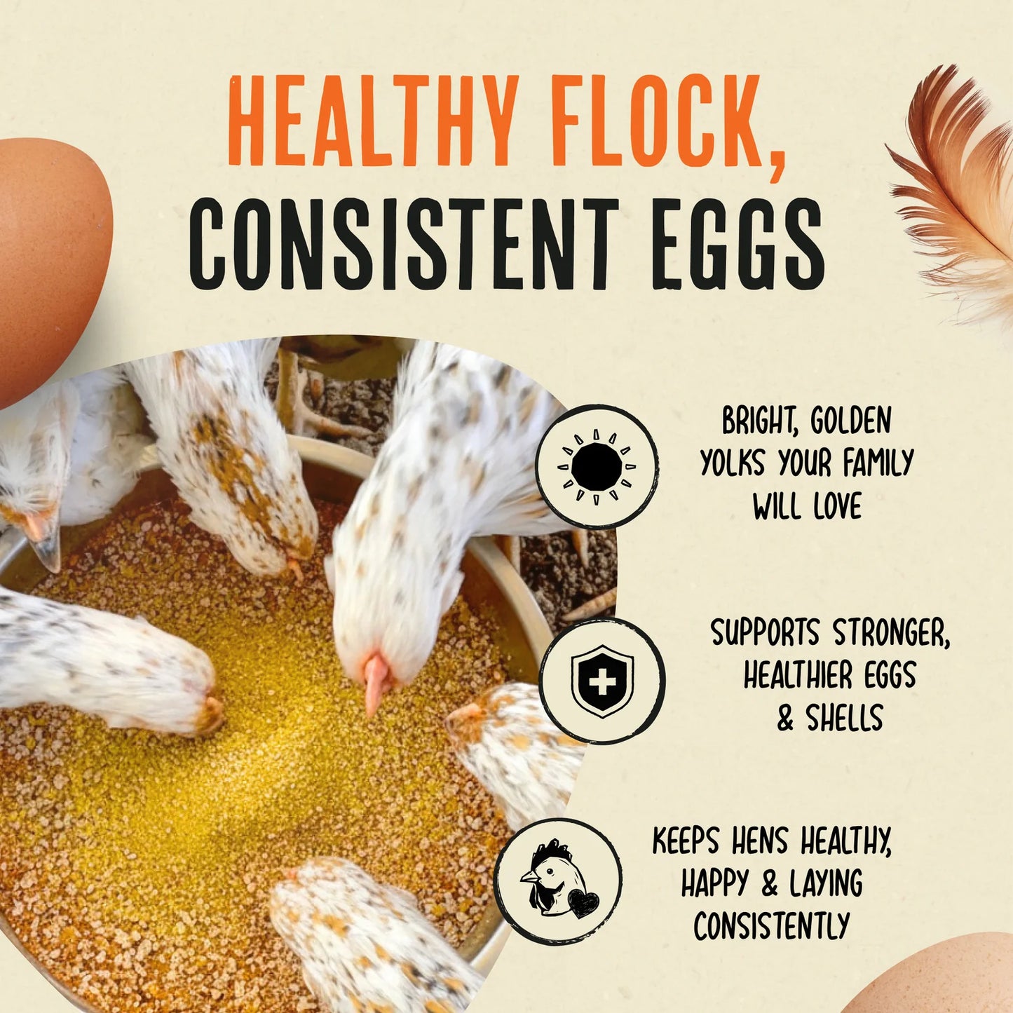 Roosty's Gold Dust - Daily Egg Booster for Poultry 1lb Bag