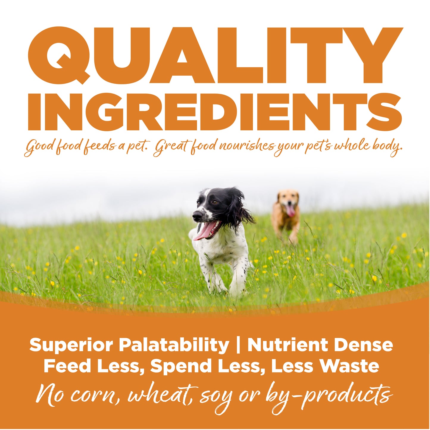 NUTRISOURCE - Lamb Meal & Rice, Adult Dry Dog Food, 26Lbs