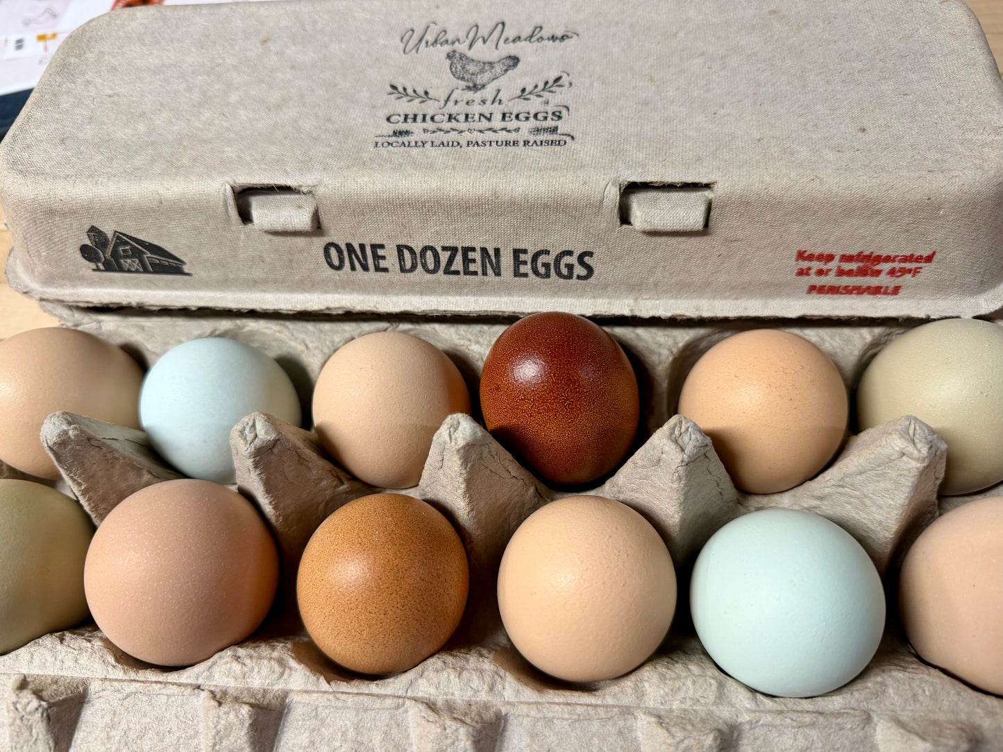 Chicken Eggs, 1 Dozen - Farm To Table, Pasture Raised