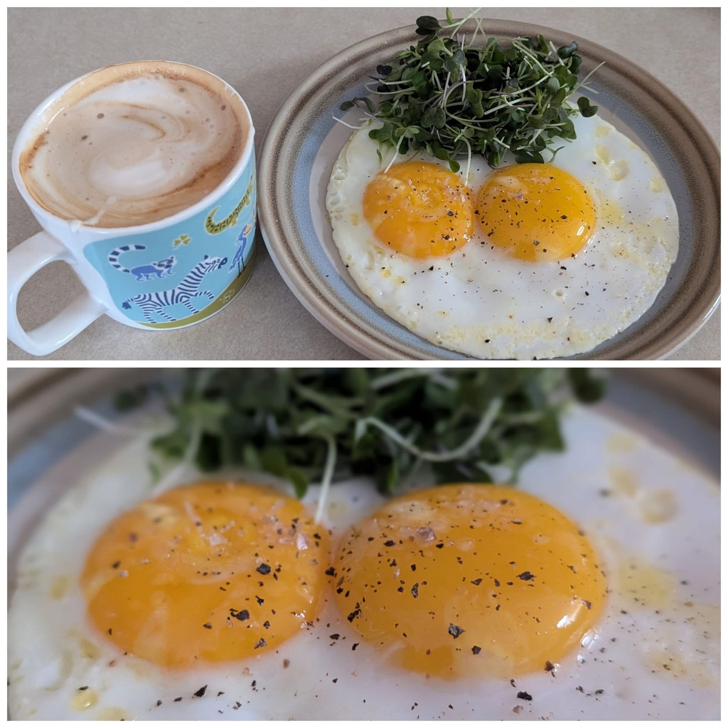 Chicken Eggs, 1 dozen - Farm To Table, Pasture Raised