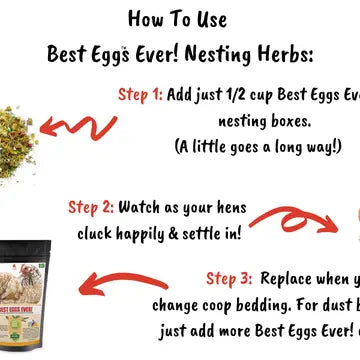 Best Eggs Ever! - Nesting Herbs For Pet Chickens image 1