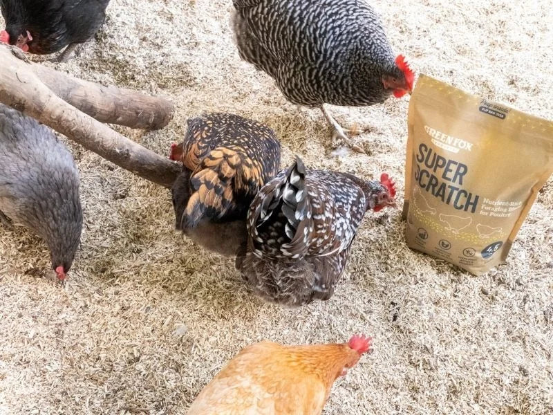 Green Fox Chicken Super Scratch 4.5lbs