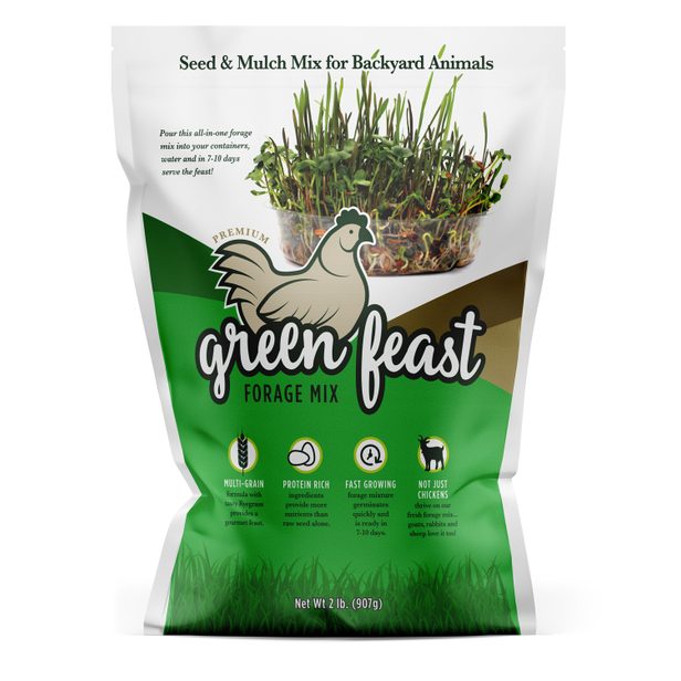 AMTURF Green Feast Poultry Forage Mixture image 0
