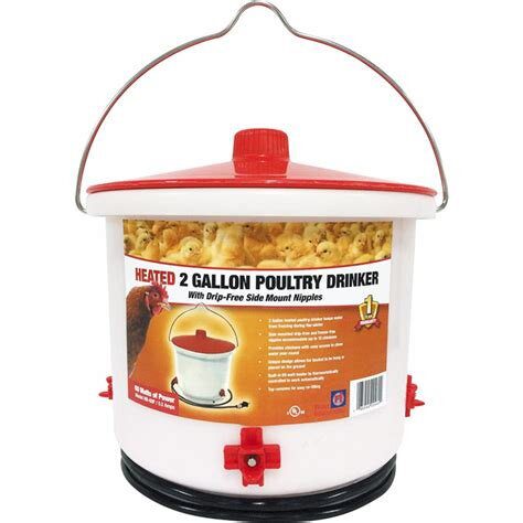 FARM INNOVATORS - Heated Poultry Fount, 2 Gallons image 0