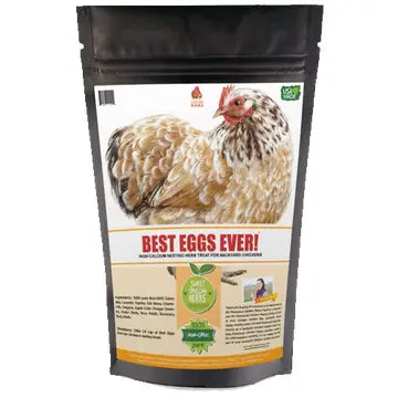 Best Eggs Ever! - Nesting Herbs For Pet Chickens image 0