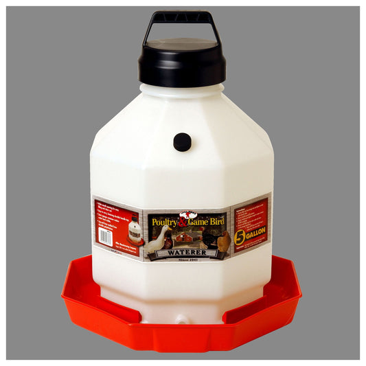 LITTLE GIANT - Top Fill Chicken Fount, 5 Gallon