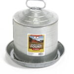 LITTLE GIANT - Double Wall Chick Fount, 2 Gallon