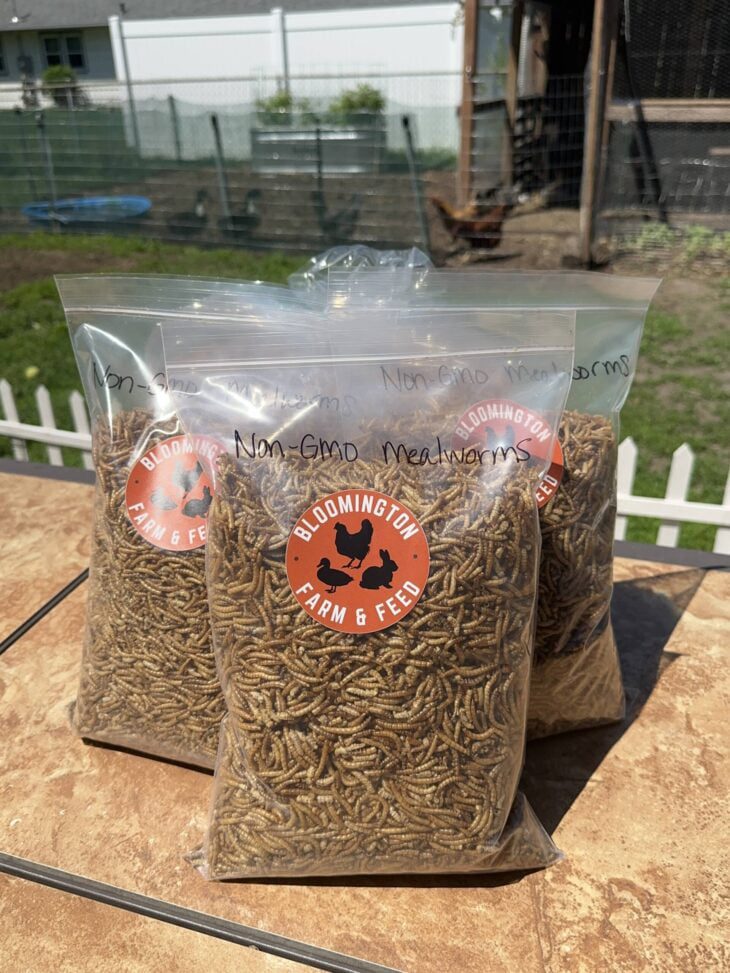 Non-GMO Dried Mealworms, 21oz. - Image 2