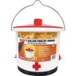 FARM INNOVATORS - Heated Poultry Fount, 2 Gallons