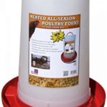 FARM INNOVATORS - Heated Poultry Fount, 3 Gallon