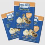 Sav-A-Chick Probiotics