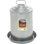 LITTLE GIANT - Chicken Fount Drinker, Galvanized, 3 Gallon