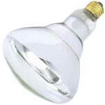 SATCO Clear Brood Heat Bulb (125Watt)