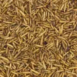 Non-GMO Dried Black Soldier Fly Larvae, 5lbs.