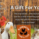 Gift card for Bloomington Farm and Feed with a rustic farm-themed design. The card features playful text inviting the recipient to explore farm-fresh products and feathered finds. The background includes subtle illustrations of farm elements like chickens and barnyard scenes, capturing the charm of farm life.